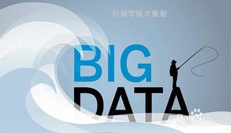 大数据服务的崛起 机遇、挑战与深远影响